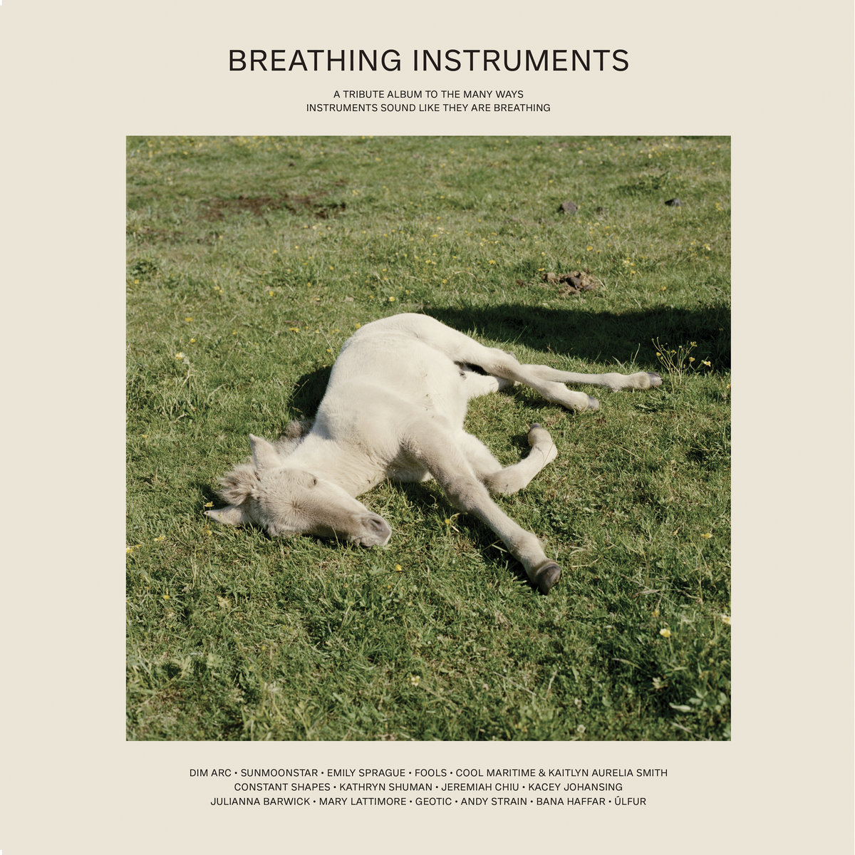 VA - Breathing Instruments