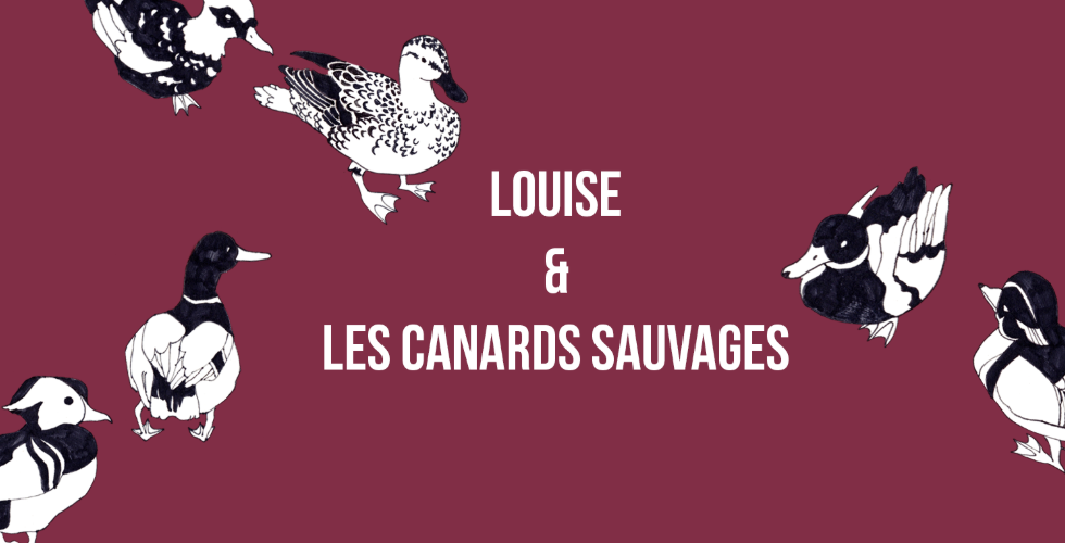 Blog Louise et les canards sauvages